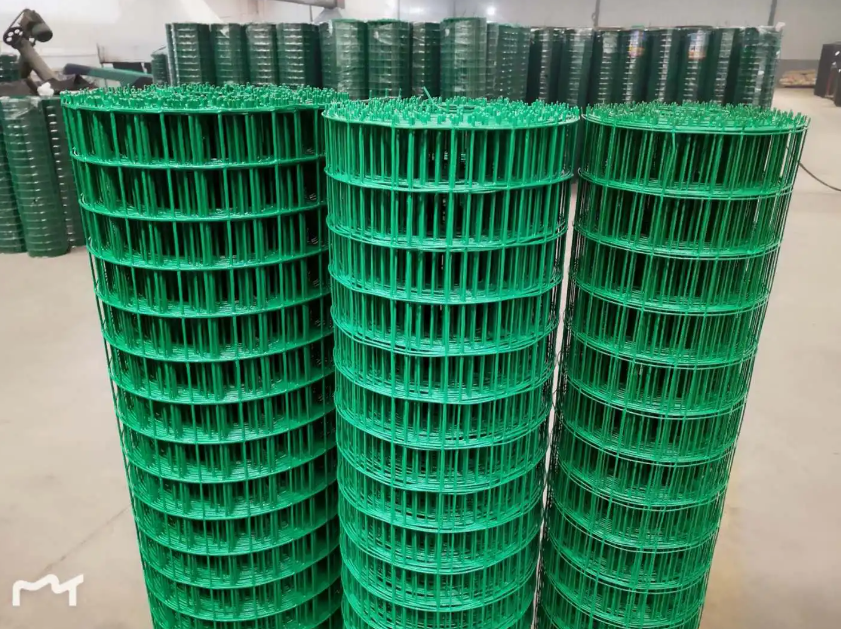 福安荷兰网